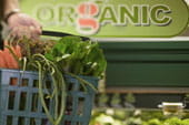 organic foods